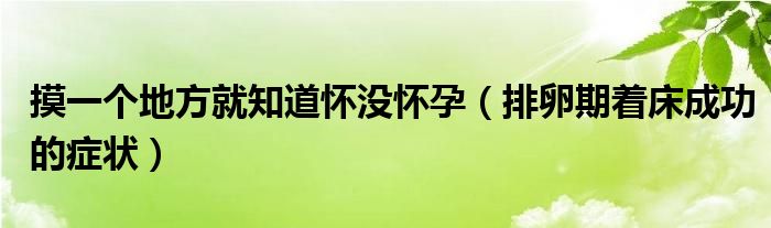 摸一個(gè)地方就知道懷沒(méi)懷孕（排卵期著床成功的癥狀）