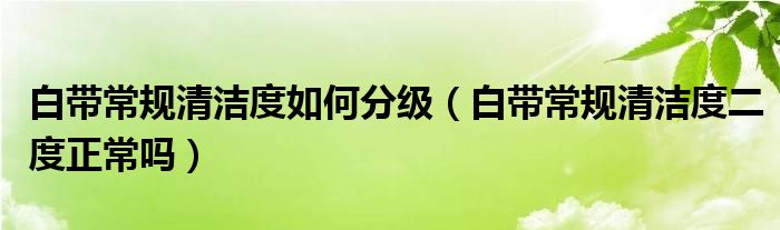 白帶常規(guī)清潔度如何分級（白帶常規(guī)清潔度二度正常嗎）