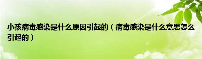 小孩病毒感染是什么原因引起的（病毒感染是什么意思怎么引起的）