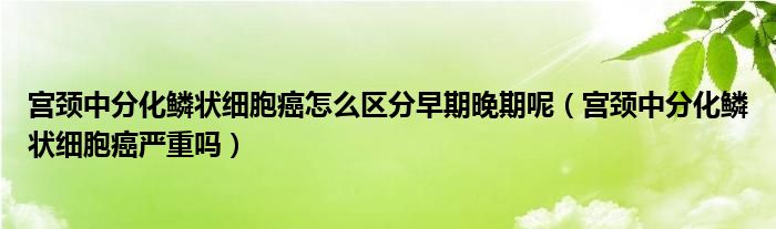 宮頸中分化鱗狀細胞癌怎么區(qū)分早期晚期呢（宮頸中分化鱗狀細胞癌嚴重嗎）