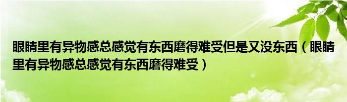 眼睛里有異物感總感覺有東西磨得難受但是又沒東西（眼睛里有異物感總感覺有東西磨得難受）