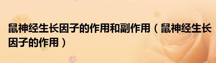 鼠神經(jīng)生長(zhǎng)因子的作用和副作用（鼠神經(jīng)生長(zhǎng)因子的作用）