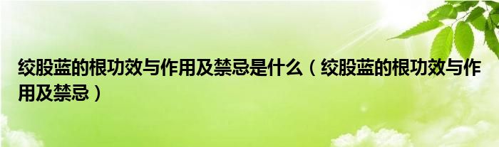 絞股藍的根功效與作用及禁忌是什么（絞股藍的根功效與作用及禁忌）