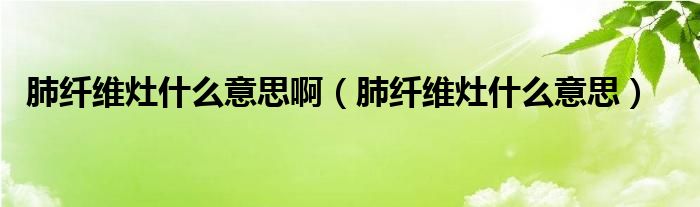 肺纖維灶什么意思?。ǚ卫w維灶什么意思）