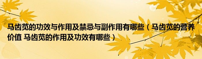 馬齒莧的功效與作用及禁忌與副作用有哪些（馬齒莧的營養(yǎng)價(jià)值 馬齒莧的作用及功效有哪些）