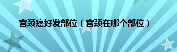 宮頸癌好發(fā)部位（宮頸在哪個(gè)部位）