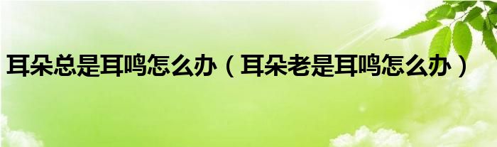 耳朵總是耳鳴怎么辦（耳朵老是耳鳴怎么辦）