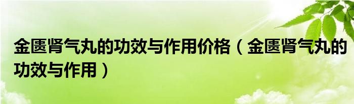 金匱腎氣丸的功效與作用價(jià)格（金匱腎氣丸的功效與作用）