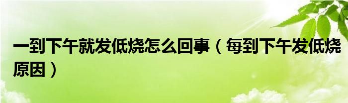 一到下午就發(fā)低燒怎么回事（每到下午發(fā)低燒原因）