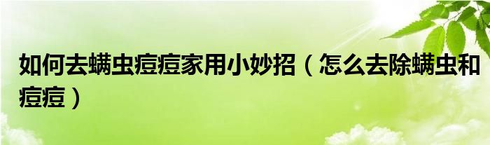 如何去螨蟲痘痘家用小妙招（怎么去除螨蟲和痘痘）