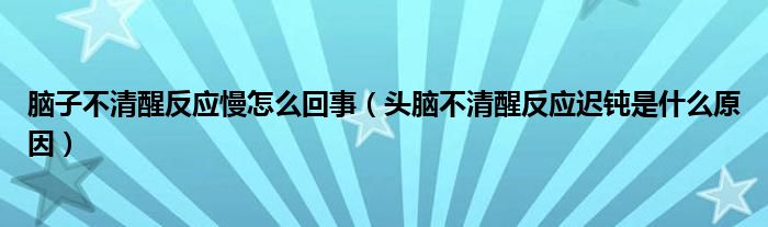 腦子不清醒反應(yīng)慢怎么回事（頭腦不清醒反應(yīng)遲鈍是什么原因）