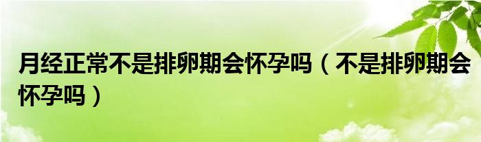 月經(jīng)正常不是排卵期會懷孕嗎（不是排卵期會懷孕嗎）