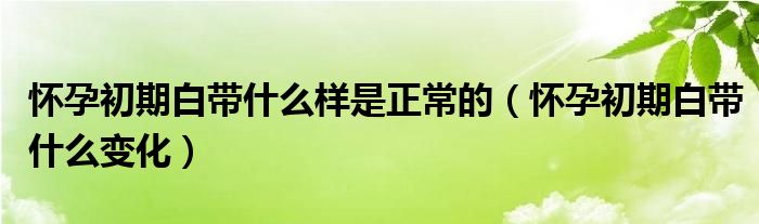 懷孕初期白帶什么樣是正常的（懷孕初期白帶什么變化）