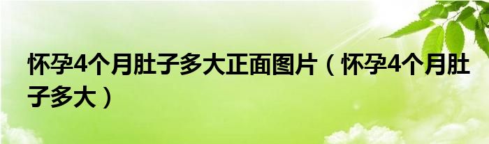 懷孕4個(gè)月肚子多大正面圖片（懷孕4個(gè)月肚子多大）