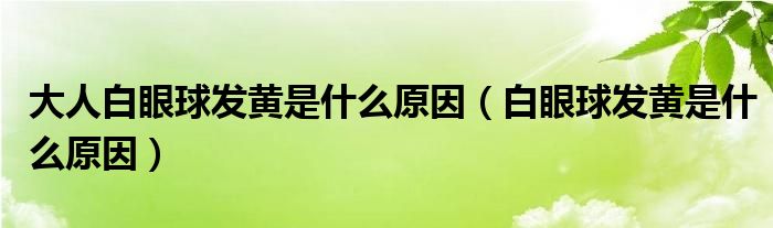 大人白眼球發(fā)黃是什么原因（白眼球發(fā)黃是什么原因）