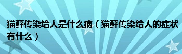 貓?zhí)\傳染給人是什么病（貓?zhí)\傳染給人的癥狀有什么）