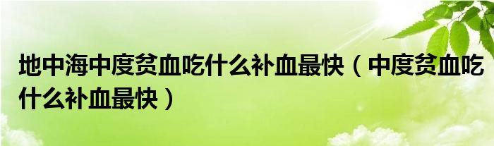 地中海中度貧血吃什么補血最快（中度貧血吃什么補血最快）