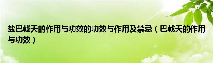 鹽巴戟天的作用與功效的功效與作用及禁忌（巴戟天的作用與功效）