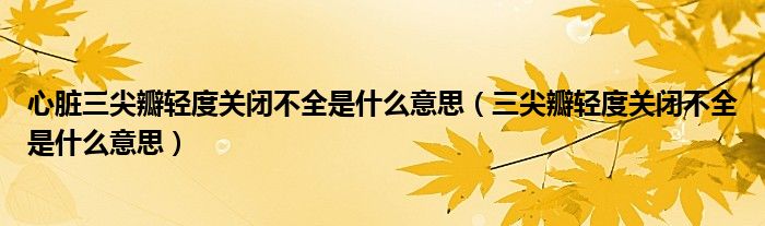 心臟三尖瓣輕度關閉不全是什么意思（三尖瓣輕度關閉不全是什么意思）