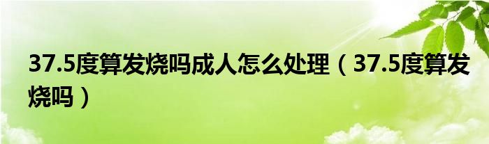 37.5度算發(fā)燒嗎成人怎么處理（37.5度算發(fā)燒嗎）