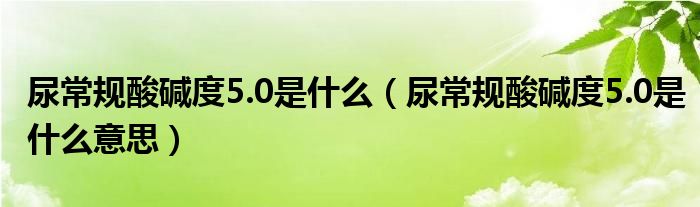 尿常規(guī)酸堿度5.0是什么（尿常規(guī)酸堿度5.0是什么意思）