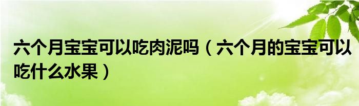 六個月寶寶可以吃肉泥嗎（六個月的寶寶可以吃什么水果）