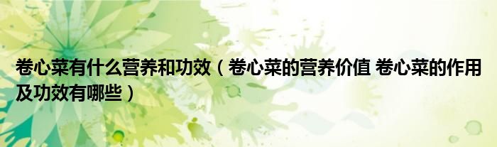 卷心菜有什么營(yíng)養(yǎng)和功效（卷心菜的營(yíng)養(yǎng)價(jià)值 卷心菜的作用及功效有哪些）