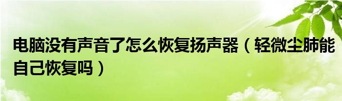 電腦沒有聲音了怎么恢復揚聲器（輕微塵肺能自己恢復嗎）