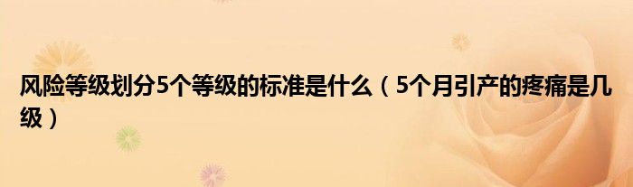 風(fēng)險(xiǎn)等級(jí)劃分5個(gè)等級(jí)的標(biāo)準(zhǔn)是什么（5個(gè)月引產(chǎn)的疼痛是幾級(jí)）