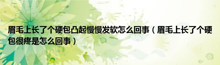 眉毛上長(zhǎng)了個(gè)硬包凸起慢慢發(fā)軟怎么回事（眉毛上長(zhǎng)了個(gè)硬包很疼是怎么回事）