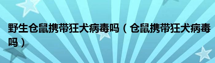 野生倉(cāng)鼠攜帶狂犬病毒嗎（倉(cāng)鼠攜帶狂犬病毒嗎）