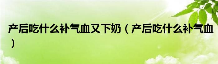 產(chǎn)后吃什么補氣血又下奶（產(chǎn)后吃什么補氣血）