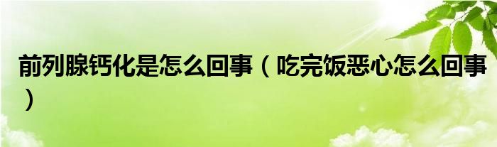 前列腺鈣化是怎么回事（吃完飯惡心怎么回事）