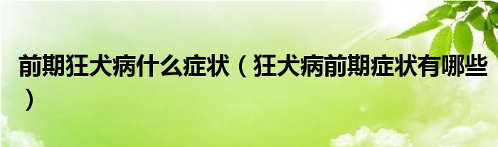 前期狂犬病什么癥狀（狂犬病前期癥狀有哪些）