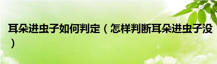 耳朵進(jìn)蟲(chóng)子如何判定（怎樣判斷耳朵進(jìn)蟲(chóng)子沒(méi)）