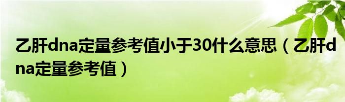 乙肝dna定量參考值小于30什么意思（乙肝dna定量參考值）