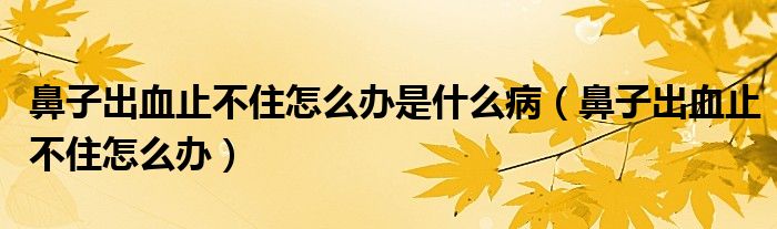 鼻子出血止不住怎么辦是什么?。ū亲映鲅共蛔≡趺崔k）