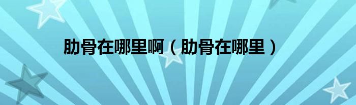 肋骨在哪里?。ɡ吖窃谀睦铮?class='thumb lazy' /></a>
		    <header>
		<h2><a  href=