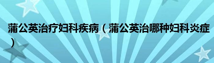 蒲公英治療婦科疾?。ㄆ压⒅文姆N婦科炎癥）