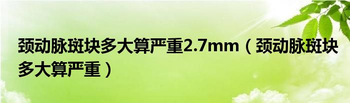 頸動脈斑塊多大算嚴(yán)重2.7mm（頸動脈斑塊多大算嚴(yán)重）