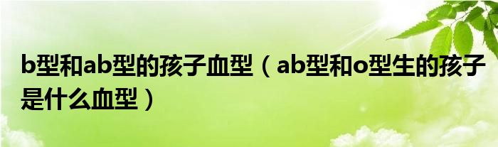 b型和ab型的孩子血型（ab型和o型生的孩子是什么血型）