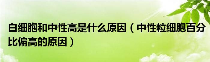 白細胞和中性高是什么原因（中性粒細胞百分比偏高的原因）