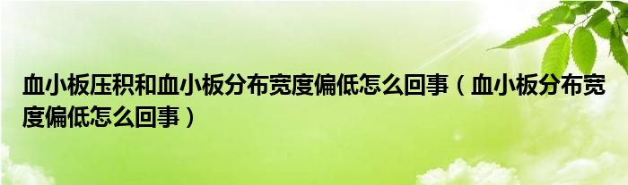 血小板壓積和血小板分布寬度偏低怎么回事（血小板分布寬度偏低怎么回事）