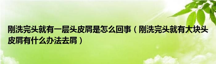 剛洗完頭就有一層頭皮屑是怎么回事（剛洗完頭就有大塊頭皮屑有什么辦法去屑）