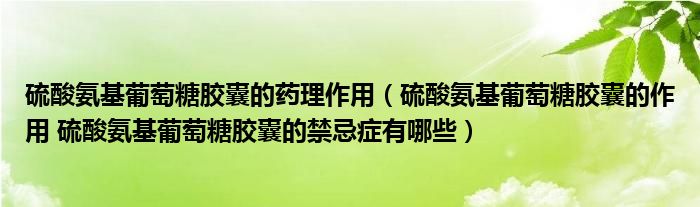 硫酸氨基葡萄糖膠囊的藥理作用（硫酸氨基葡萄糖膠囊的作用 硫酸氨基葡萄糖膠囊的禁忌癥有哪些）