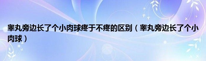 睪丸旁邊長了個小肉球疼于不疼的區(qū)別（睪丸旁邊長了個小肉球）