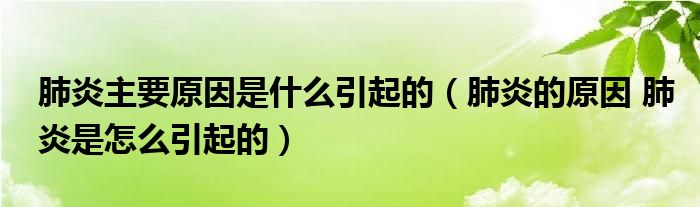 肺炎主要原因是什么引起的（肺炎的原因 肺炎是怎么引起的）