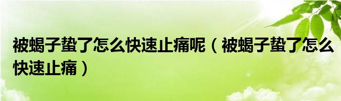 被蝎子蟄了怎么快速止痛呢（被蝎子蟄了怎么快速止痛）