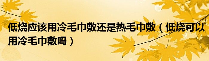 低燒應(yīng)該用冷毛巾敷還是熱毛巾敷（低燒可以用冷毛巾敷嗎）