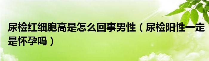 尿檢紅細(xì)胞高是怎么回事男性（尿檢陽性一定是懷孕嗎）